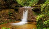 Tour Zu Fuß Meilen - Burg-Rundi - Photo 10