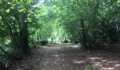 Trail Walking Saint-Paul-lès-Dax - 2022-08-22 RANDO EN PARTANT DU CAMPING DES ABESSES  - Photo 2