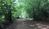 Trail Walking Saint-Paul-lès-Dax - 2022-08-22 RANDO EN PARTANT DU CAMPING DES ABESSES  - Photo 2