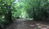 Tocht Stappen Saint-Paul-lès-Dax - 2022-08-22 RANDO EN PARTANT DU CAMPING DES ABESSES  - Photo 2