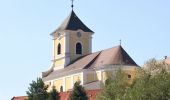 Tour Zu Fuß Gemeinde Kirchberg am Wechsel - Filzkunstwanderweg - Photo 4