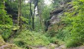 Excursión Senderismo Berdorf - Mullerthal Balisage E1 - Photo 2