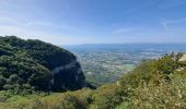 Tour Wandern Collonges-sous-Salève - Le Salève en boucle,  orjobet , corraterie, belvédère, grande gorge  - Photo 1