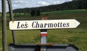 Tour Wandern Villers-le-Lac - Étape 7 : Villers-le-Lac à Vieux Chateleu - Photo 2