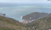 Trail Walking Levanto - Levanto et sa coline  - Photo 13