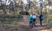 Trail Walking Lommel - lommel - Photo 1