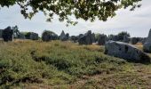 Trail Walking Carnac - PR_56_Carnac_AA_01_Les-Alignements_Circuit1b_20221009 - Photo 11