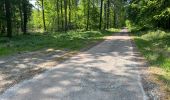 Tour Wandern Ormoy-le-Davien - 030422 - Direction Vaucienne puis Vaumoise et Cave du diable - Photo 20