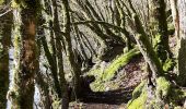 Tour Wandern Bouillon - Corbion  - Photo 7