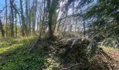 Trail Walking Saint-Jean-sur-Mayenne - Château de la Merveile - Photo 7