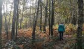 Trail Walking Yvoir - GODINNE ... balade des feuilles mortes. - Photo 10