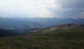 Trail Walking Wasserbourg - Tour du Petit Ballon et des fermes auberges - Photo 11