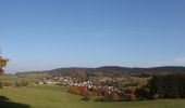 Excursión A pie Abtsteinach - Rundwanderweg Abtsteinach 10: Leonhardsberg-Weg - Photo 8