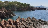 Tour Wandern Fréjus - Fréjus plage-St Raph-retour littoral - Photo 9