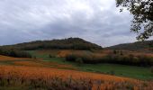 Randonnée Marche Plainoiseau - etoile jura - Photo 4