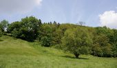 Tocht Stappen Wezet - Visé, Natura des sites qui valent le détour Lg17 - Photo 12