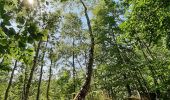Randonnée Marche Braine-le-Comte - Papotages au bois - Photo 1