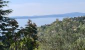 Excursión Senderismo Roquebrune-sur-Argens - De San Peire aux Issambres - Photo 19