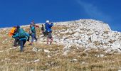 Trail Walking Gresse-en-Vercors - Pierre Blanche et Roche Rousse - Photo 16