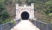 Randonnée Marche Dalhem - dalhem tunnel . nelhain . la tombe . la folie.  dalhrm - Photo 10