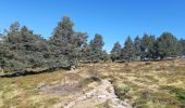 Tocht Stappen Orbey - Col du Wettstein - Hautes-Huttes - Lac du Forlet - Lac Vert - Photo 15