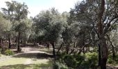 Trail Walking Maureillas-las-Illas - dolmen de la Siureda via tour Bel Ull - Photo 9