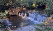 Tour Wandern Pierrefeu-du-Var - N3 la Portaniere,  les Videaux, La Saute. - Photo 6