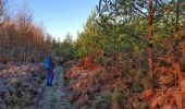 Excursión Senderismo Viroinval - Balade dans le Viroinval - Le Mesnil - Photo 1