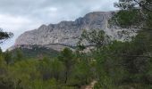 Tour Wandern Beaurecueil - Le tour du plateau du Cengle - Photo 3