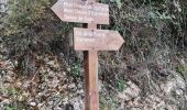 Excursión Senderismo Aspremont -  le tour du Mont Chauve d'Aspremont - Photo 3