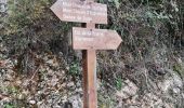 Randonnée Marche Aspremont -  le tour du Mont Chauve d'Aspremont - Photo 3