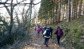 Excursión Senderismo Lourdes - LOURDES la boucle du petit Jer G4   