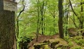 Percorso Equitazione Still - 2021-05-24 Picnic Elmersforst depuis Oberhaslach - Photo 4