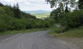 Percorso A piedi Sconosciuto - Rostrevor Forest - Slievebane Trail - Photo 1