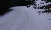 Tocht Stappen Saint-Martin-Vésubie - Circuit du Cavalet  - Photo 2