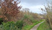 Randonnée Marche Argelès-sur-Mer - mas larrieu - argeles / l hiver - Photo 3