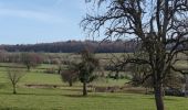 Tocht Stappen Limburg - A la découverte de Limbourg  - Photo 18