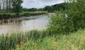 Tocht Elektrische fiets Berlare - Overmere- donk -definitief - Photo 5