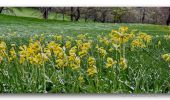 Randonnée Marche Prads-Haute-Bléone - Crête du Cadun via Serre en Haute Bléone - Photo 1