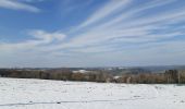 Tour Wandern Theux - ferme haut marais . vert Buisson . croix papet . les cours . farineux  - Photo 1