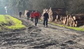 Excursión Senderismo Nivillac - Saint Criq rives gauches de la Vilaine  - Photo 1