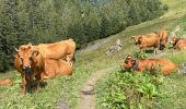 Tour Wandern Beaufort - Barrage St Guerin Refuge de l’Econdu 12 km - 600 m d’en + - Photo 13