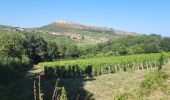 Tour Wandern Solutré-Pouilly - roche de soluté, roche de Vergisson - Photo 3