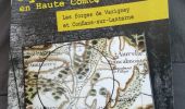 Excursión Marcha nórdica Dampierre-lès-Conflans - Mystère en Haute-Comté : Varigney 12-05-19 - Photo 1