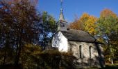 Excursión Senderismo Gouvy - Chapelle de Saint-Martin (GOUVY 04) - Photo 2