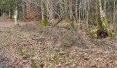 Randonnée Marche Libin - Reconnaissance des différents parcours marche ADEPS de Villance. - Photo 10