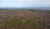 Tocht Stappen Plévenon - Cap Fréhel et Fort la Latte 5.7.23 - Photo 14