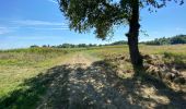 Tour Wandern Aire-sur-l'Adour - GR65 Aire sur Adour > Miramont-Sensacq - Photo 1