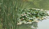 Randonnée Marche Méounes-lès-Montrieux - Le Gapeau vers l'etang - Photo 1