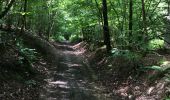 Trail Walking Havelange - Bois, Rivière et champs - Photo 2